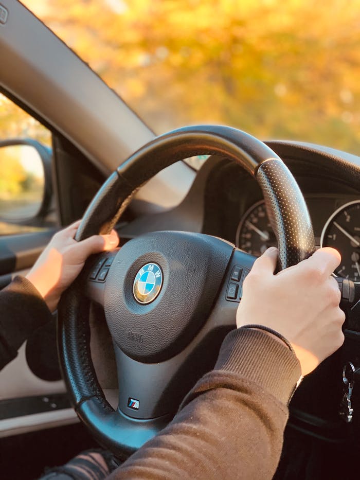 Hands on BMW steering wheel during a sunny autumn drive, showcasing automotive precision.
